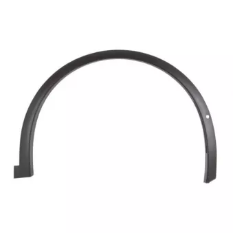 Baguette et bande protectrice, aile avant droit BLIC 5703-08-7705372P