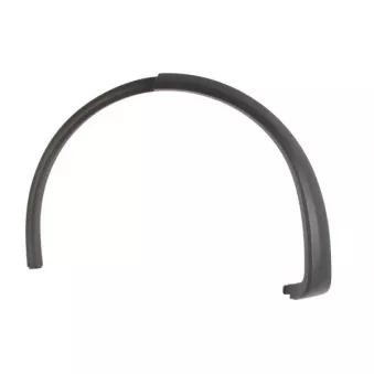 Baguette et bande protectrice, aile avant gauche BLIC 5703-08-7705373P