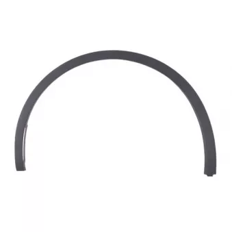 Baguette et bande protectrice, aile avant gauche BLIC 5703-08-7706371P