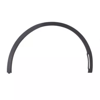 Baguette et bande protectrice, aile avant droit BLIC 5703-08-7706372P