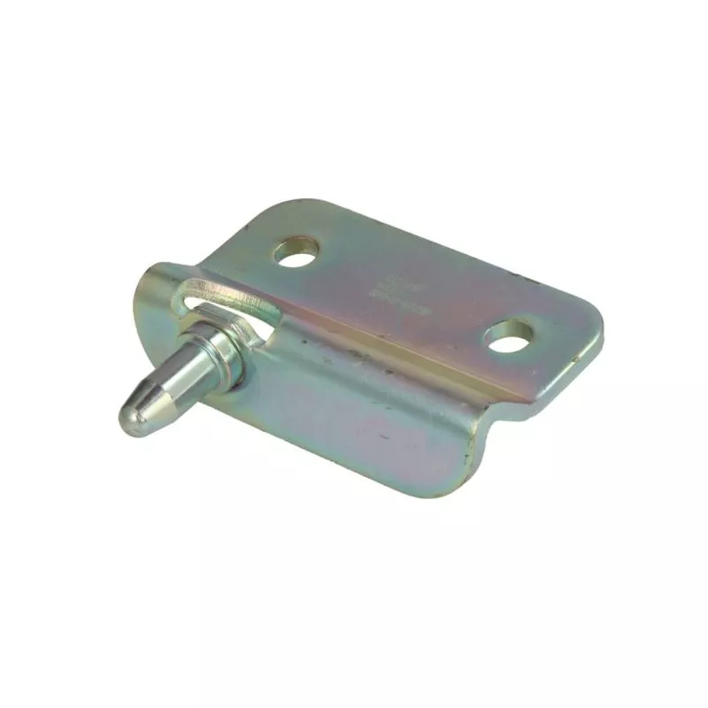 Serrure de porte arrière droit BLIC 6010-01-047428P