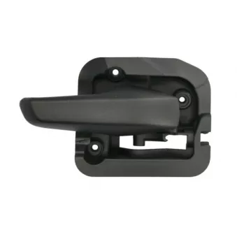 Poignet de porte, équipment intérieur avant droit BLIC 6010-02-004408PP