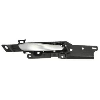 Poignet de porte, équipment intérieur avant droit BLIC 6010-05-022408P