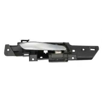 Poignet de porte, équipment intérieur arrière droit BLIC 6010-05-022408TP