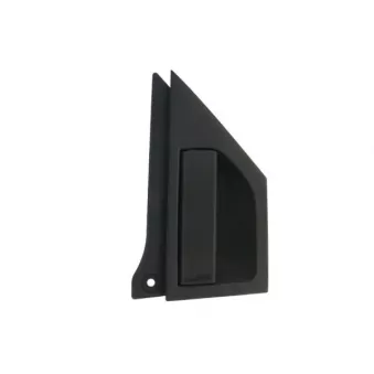 Poignée de porte arrière gauche BLIC 6010-09-070403P
