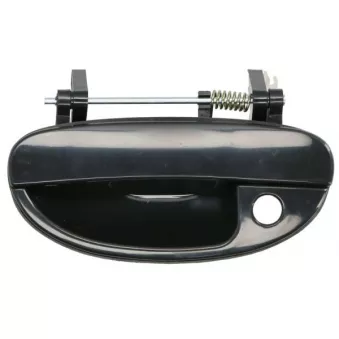 Poignée extérieure de porte avant gauche BLIC 6010-42-005401P