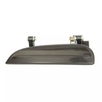 Poignée extérieure de porte arrière gauche BLIC 6010-53-008403P