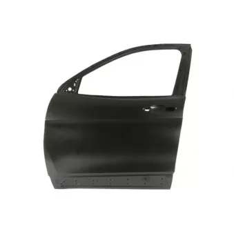Porte, Carrosserie avant gauche BLIC 6013-00-3206705P