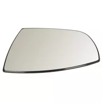 Verre de rétroviseur, rétroviseur extérieur BLIC 6102-02-1212132P