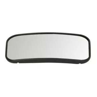 Verre de rétroviseur, rétroviseur extérieur BLIC 6102-02-2247356P
