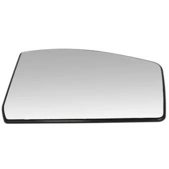 Verre de rétroviseur, rétroviseur extérieur BLIC 6102-03-2002833P