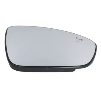 Verre de rétroviseur, rétroviseur extérieur BLIC 6102-09-2313374P
