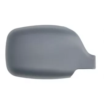 Boitier, rétroviseur extérieur BLIC 6103-01-1322172P