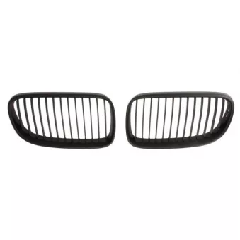 Grille de radiateur BLIC 6502-07-0062911KP