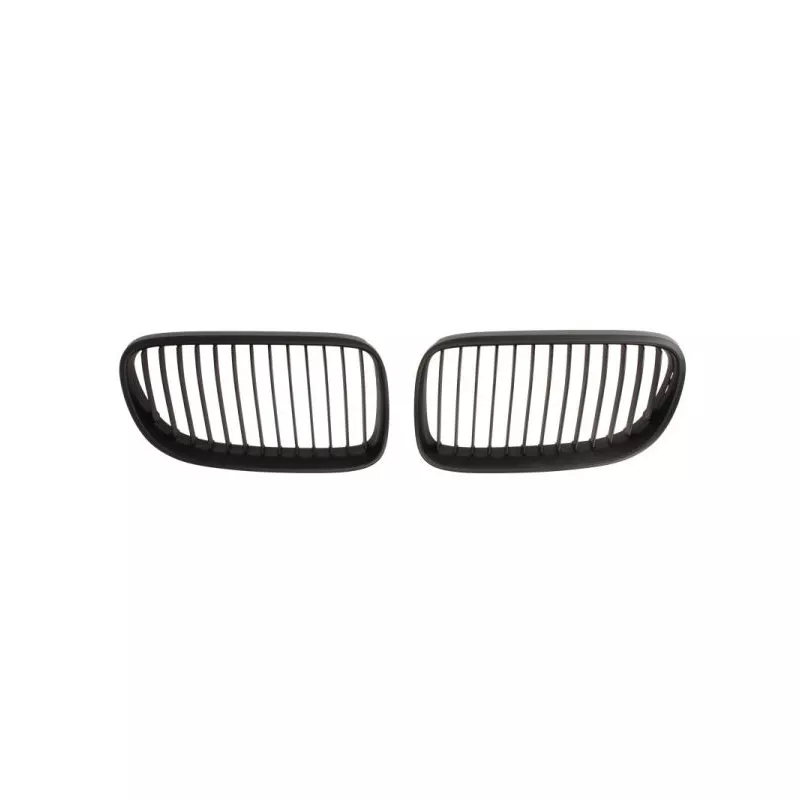 Grille de radiateur BLIC 6502-07-0062911KP