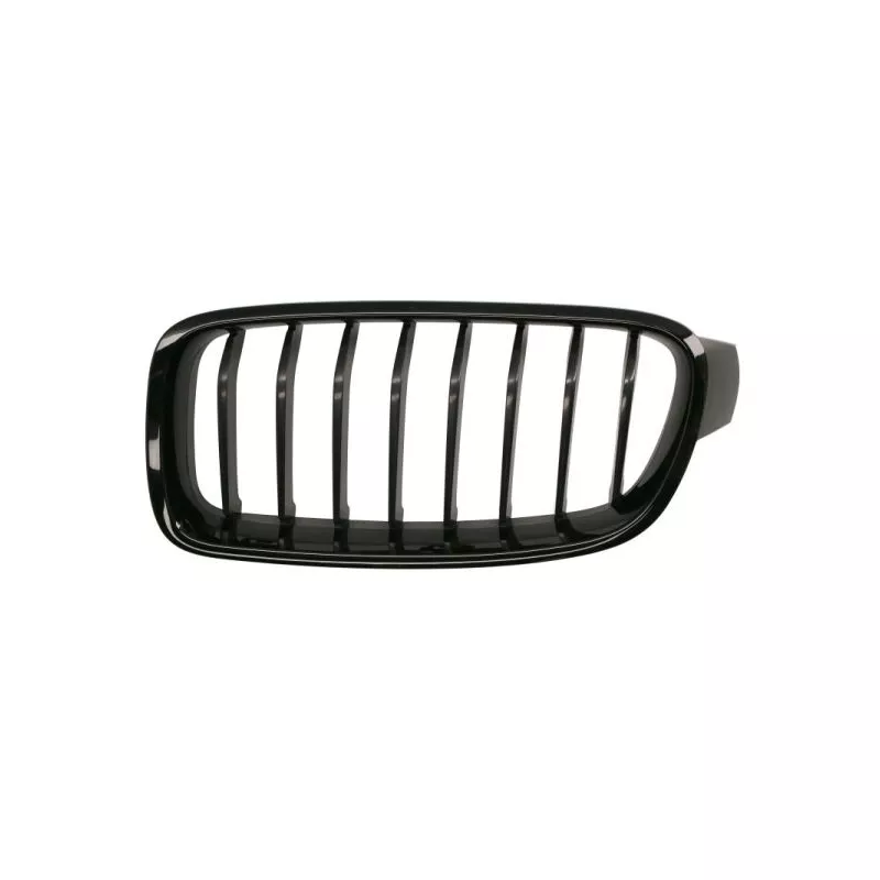 Grille de radiateur avant gauche BLIC 6502-07-0063993MP