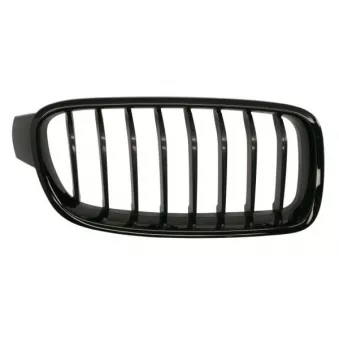 Grille de radiateur avant droit BLIC 6502-07-0063994MP