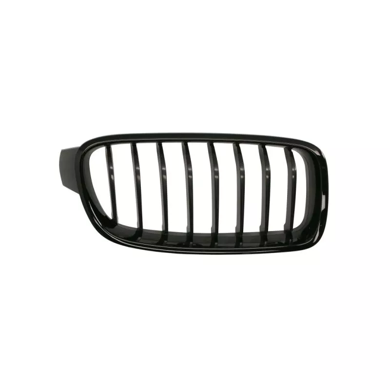 Grille de radiateur avant droit BLIC 6502-07-0063994MP