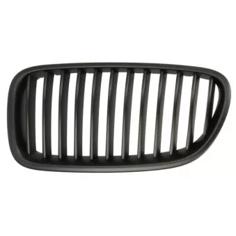 Grille de radiateur avant gauche BLIC 6502-07-0067993BP