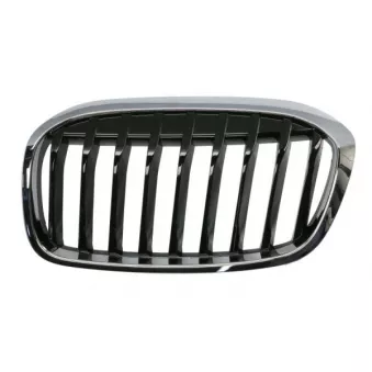 Grille de radiateur avant gauche BLIC