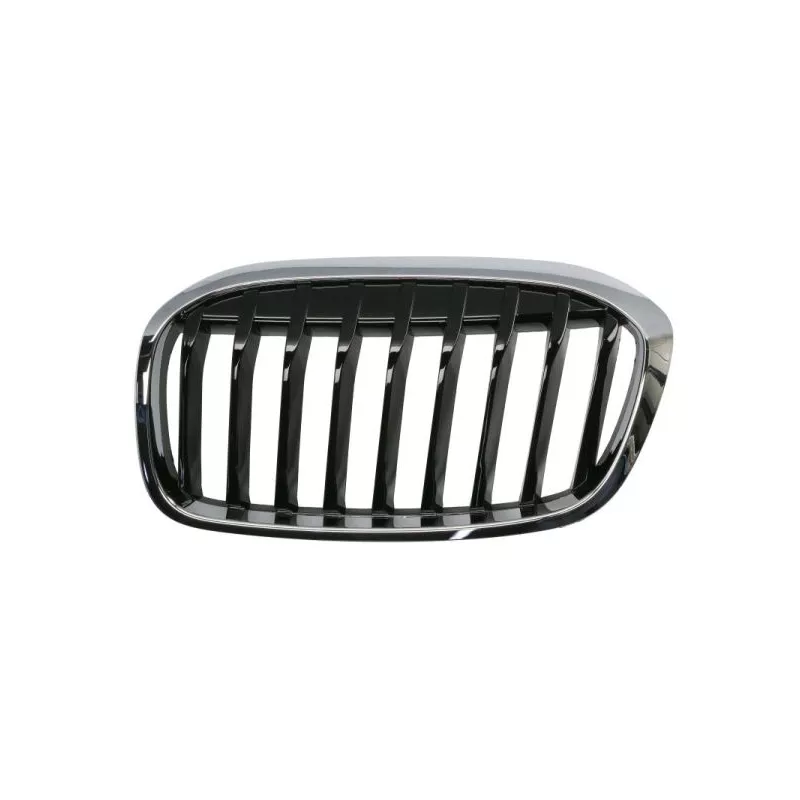 Grille de radiateur avant gauche BLIC 6502-07-0071991P