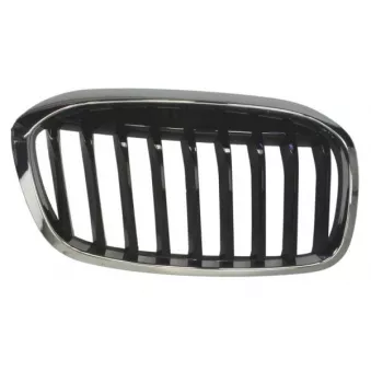 Grille de radiateur avant droit BLIC