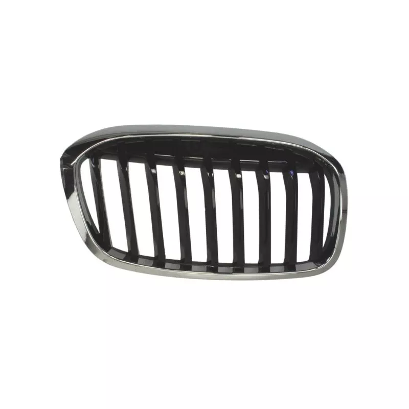 Grille de radiateur avant droit BLIC 6502-07-0071992P