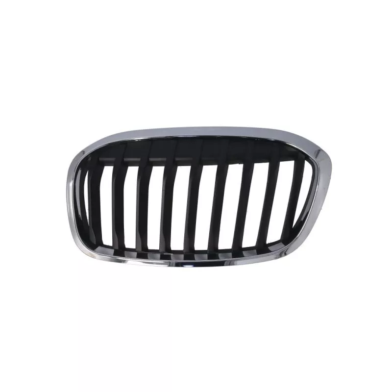 Grille de radiateur avant gauche BLIC 6502-07-0071993P
