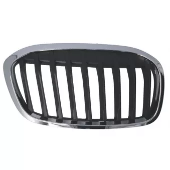 Grille de radiateur avant droit BLIC