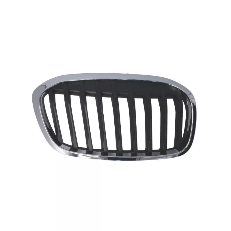 Grille de radiateur avant droit BLIC 6502-07-0071994P