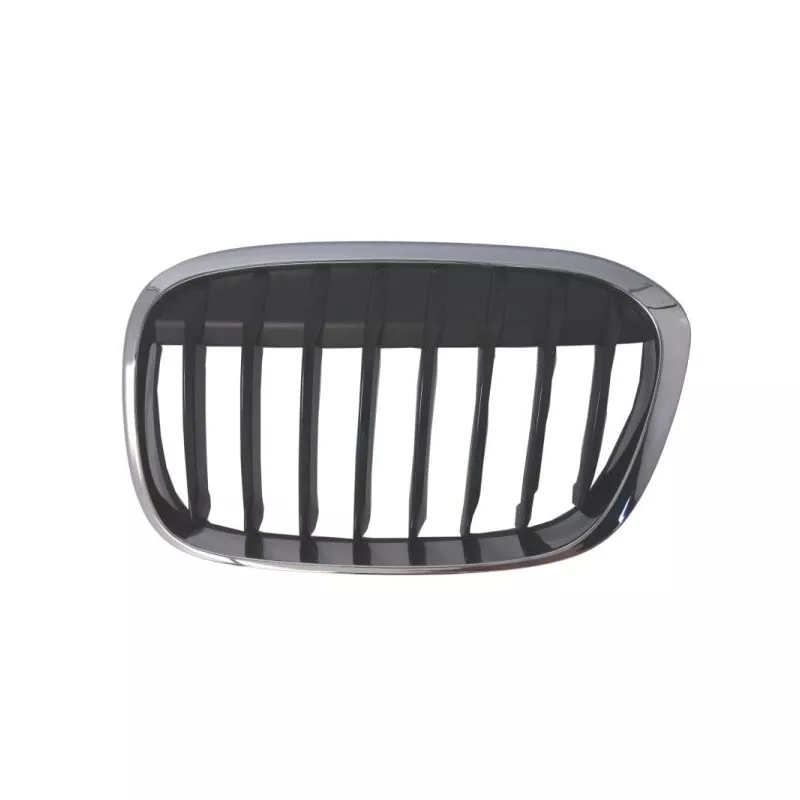 Grille de radiateur avant gauche BLIC 6502-07-0082993MP