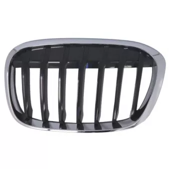 Grille de radiateur avant gauche BLIC 6502-07-0082993P