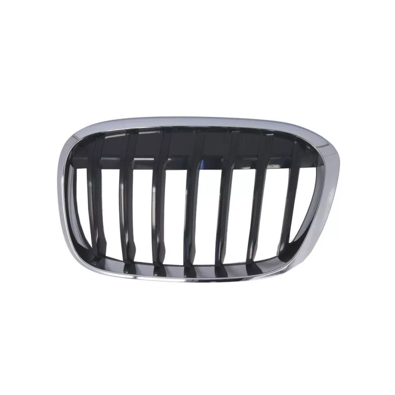 Grille de radiateur avant gauche BLIC 6502-07-0082993P
