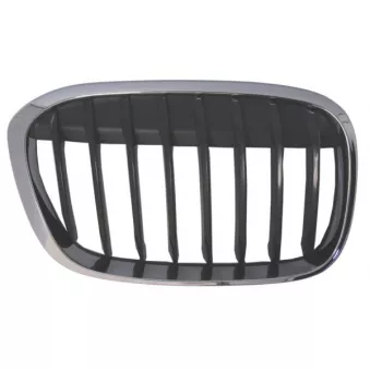 Grille de radiateur avant droit BLIC 6502-07-0082994MP