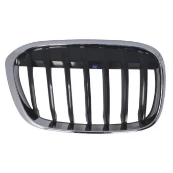 Grille de radiateur avant droit BLIC 6502-07-0082994P