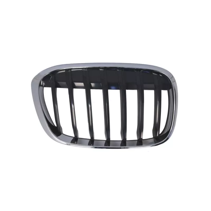 Grille de radiateur avant droit BLIC 6502-07-0082994P