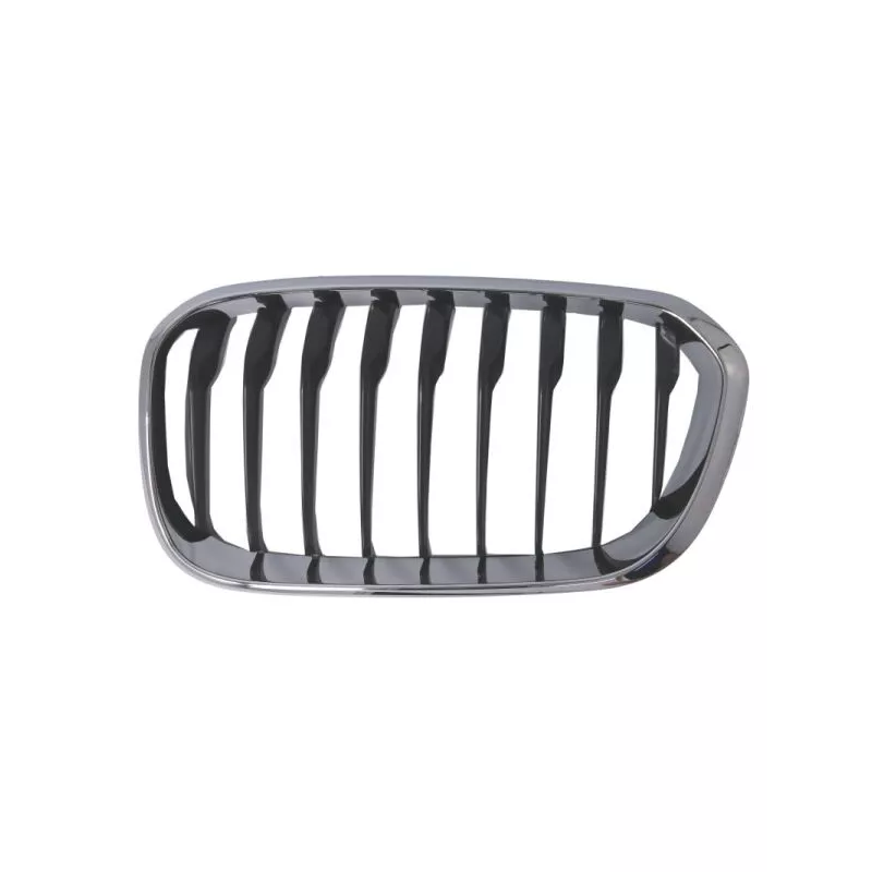 Grille de radiateur avant gauche BLIC 6502-07-0086997CP
