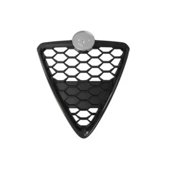 Grille de radiateur BLIC 6502-07-0105999GP