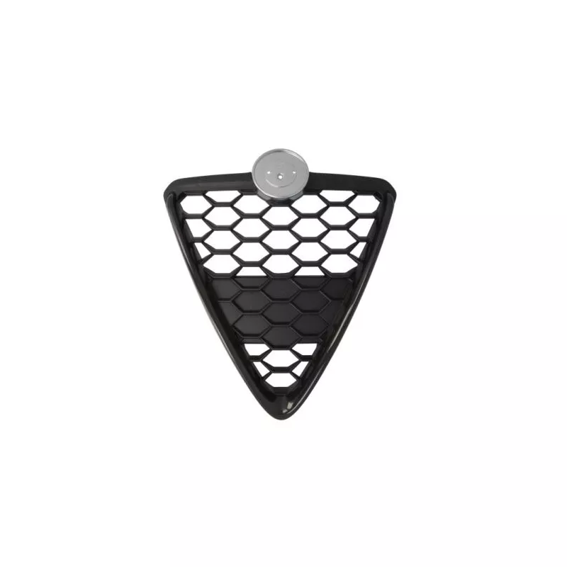 Grille de radiateur BLIC 6502-07-0105999GP