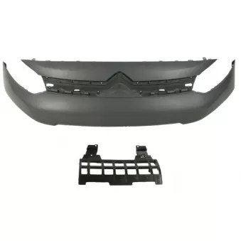 Grille de radiateur BLIC 6502-07-0559990P