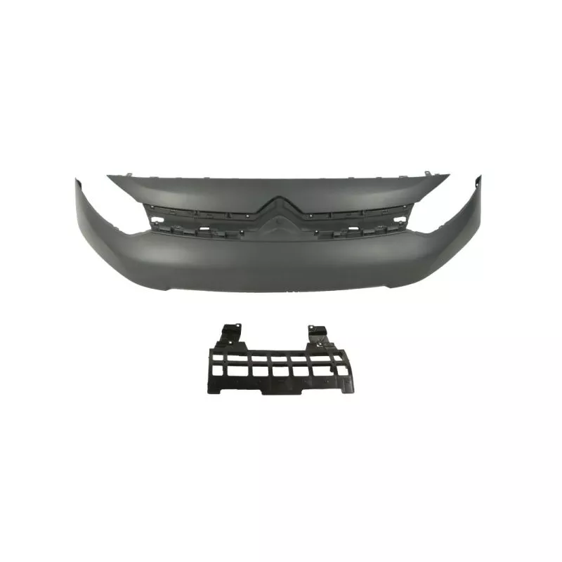 Grille de radiateur BLIC 6502-07-0559990P