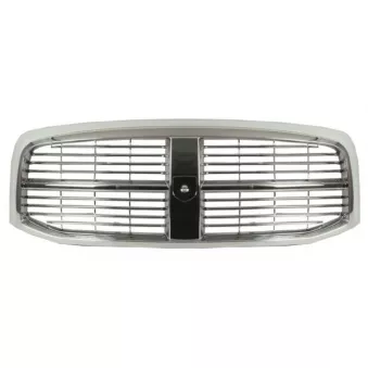Grille de radiateur BLIC 6502-07-0934991P