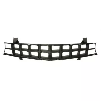 Grille de radiateur BLIC 6502-07-1189990P