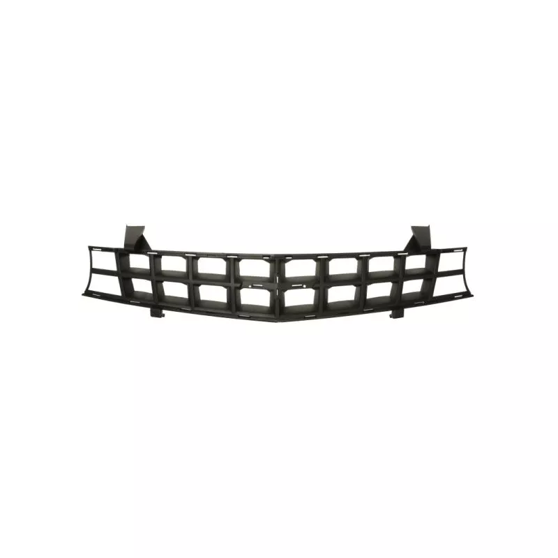 Grille de radiateur BLIC 6502-07-1189990P