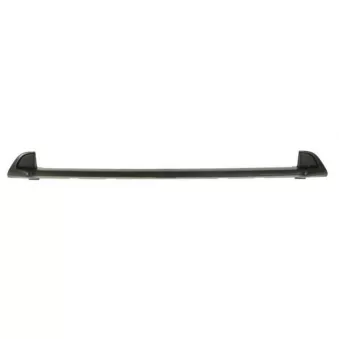 Baguette et bande protectrice, grille de radiateur avant gauche BLIC 6502-07-2098910P