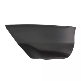 Baguette et bande protectrice, aile avant gauche BLIC 6502-07-2594921P
