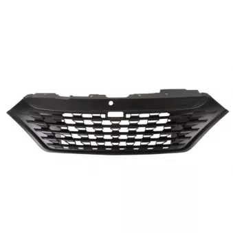 Grille de radiateur BLIC 6502-07-3084990P