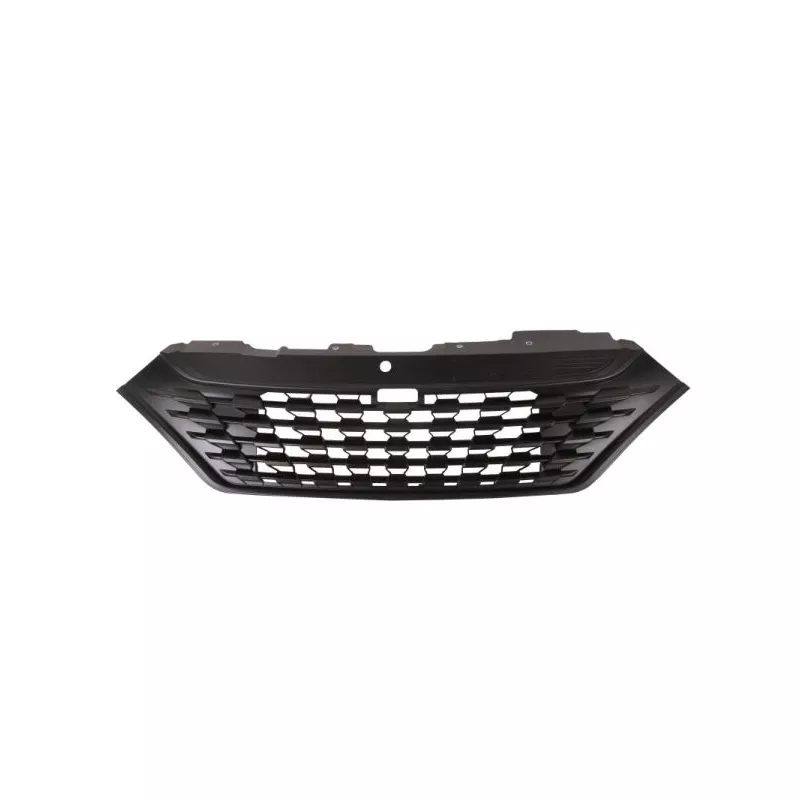 Grille de radiateur BLIC 6502-07-3084990P