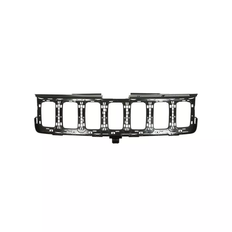 Grille de radiateur BLIC 6502-07-3207900P