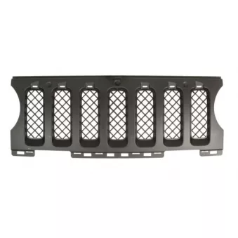 Grille de radiateur BLIC